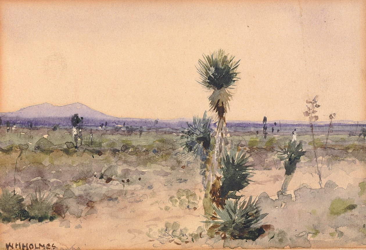 Yuccaland – Chihuahua, Mexiko, n.d. av William Henry Holmes