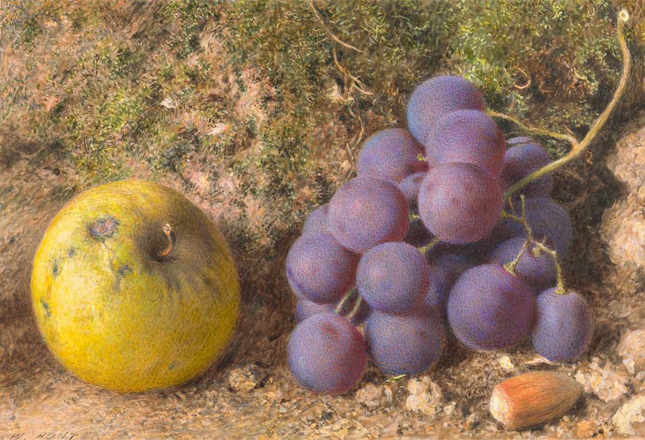 Äpple, vindruvor och en kobenöt av William Henry Hunt