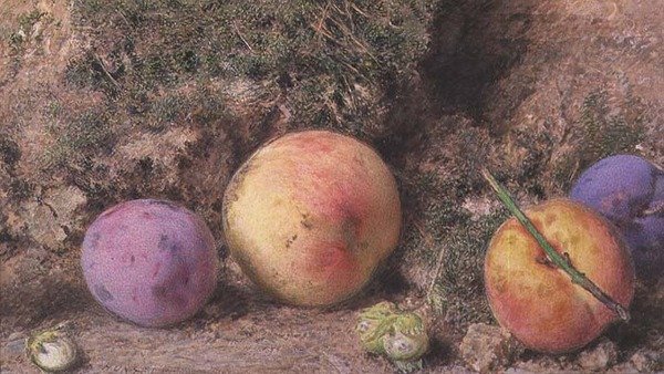 Stilleben av William Henry Hunt