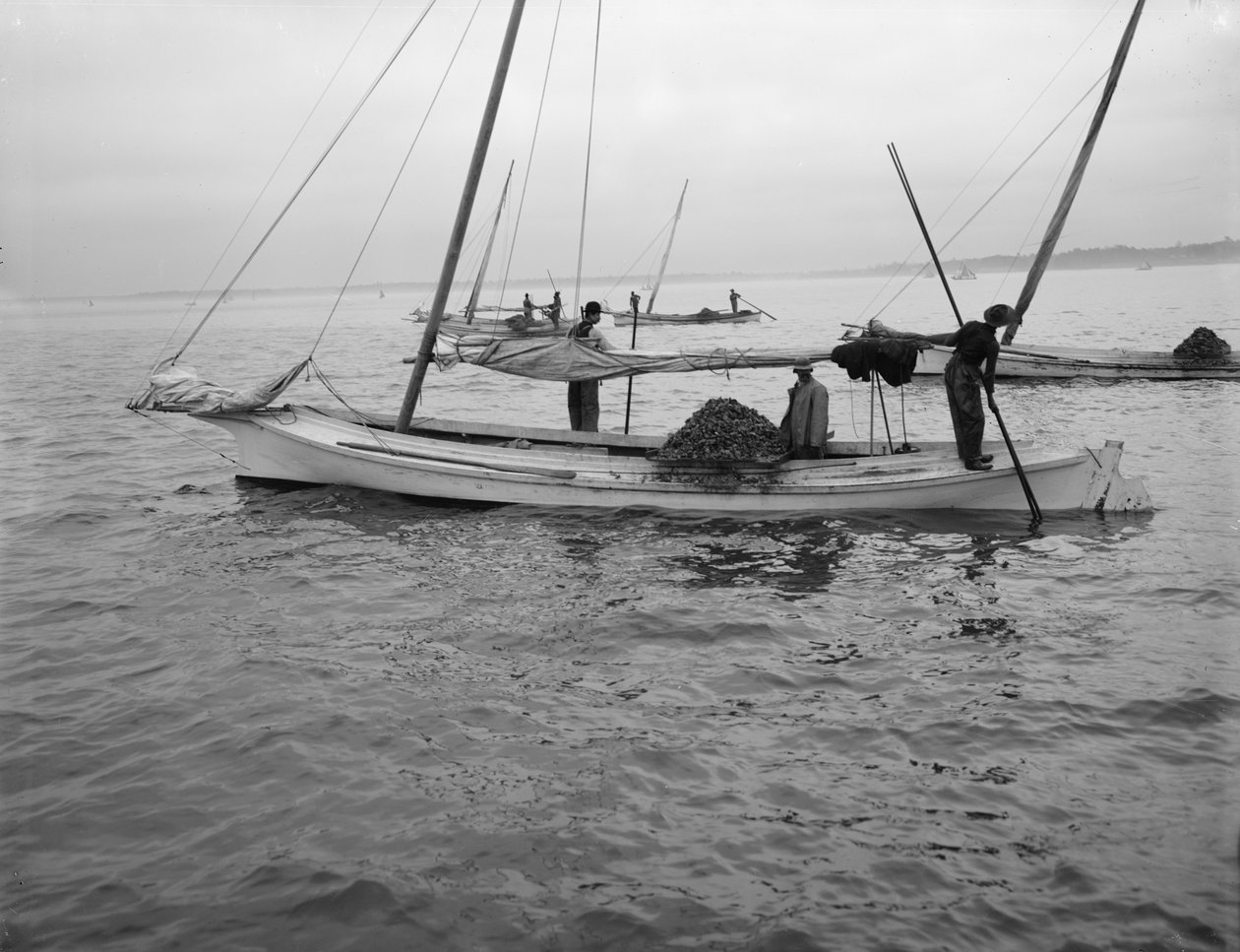 Oyster dredging. c.1890-1910 av William Henry Jackson
