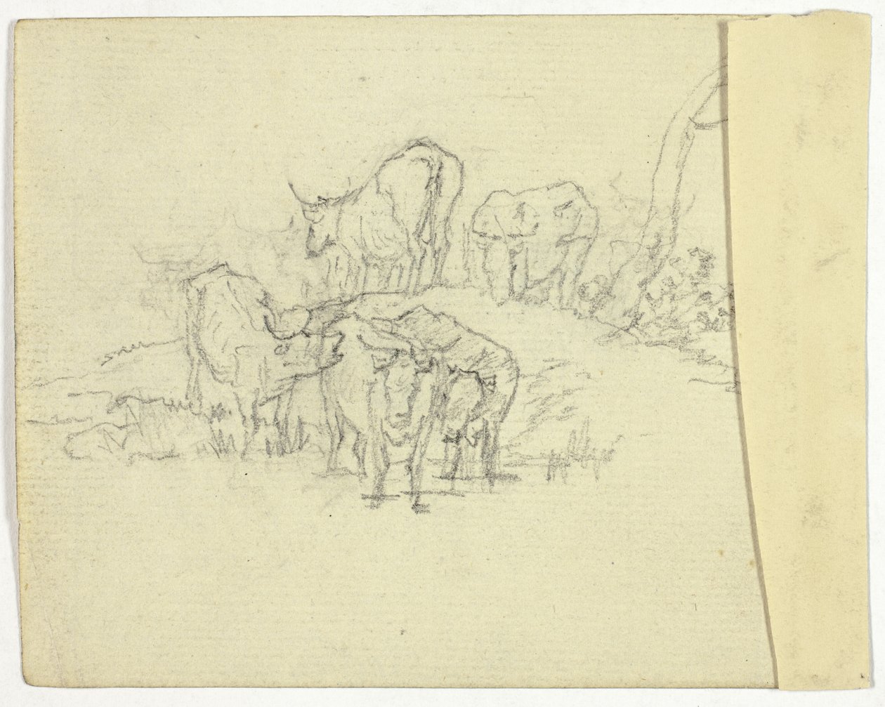 Boskap (recto); Charlatan (verso) av William Henry Pyne