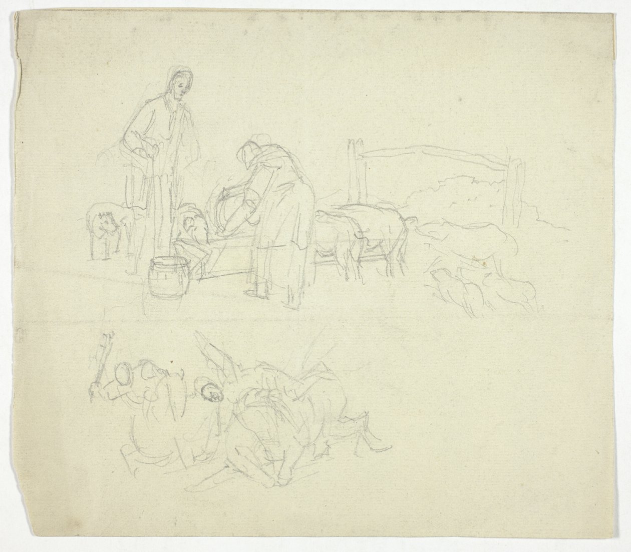 Mata grisar av William Henry Pyne
