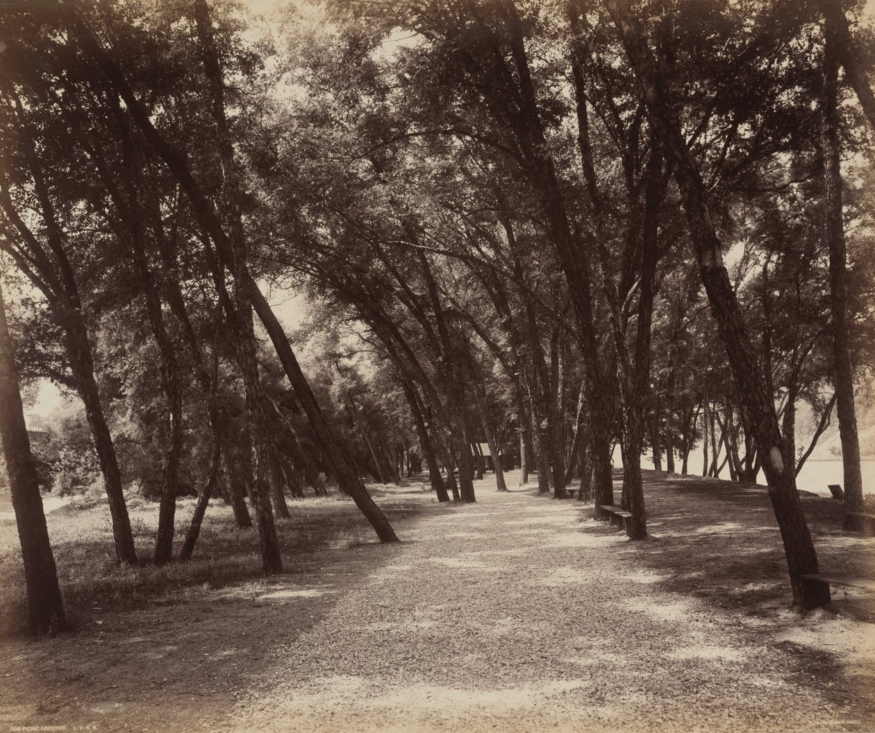 Picknickplats,ca. 1895 (foto) av William Herman Rau