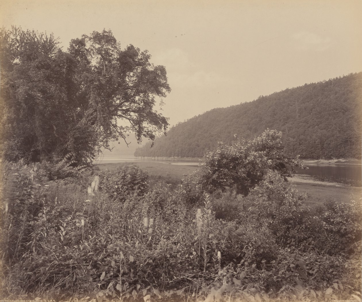 Susquehanna vid Wyalusing,ca. 1895 (foto) av William Herman Rau