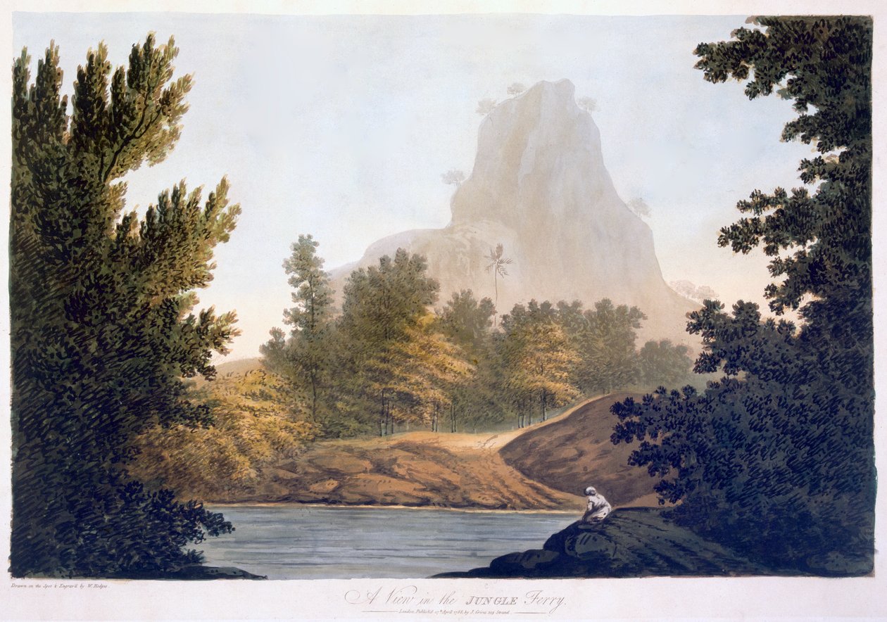 View of the Jungle, 1788 (akvatint) av William Hodges