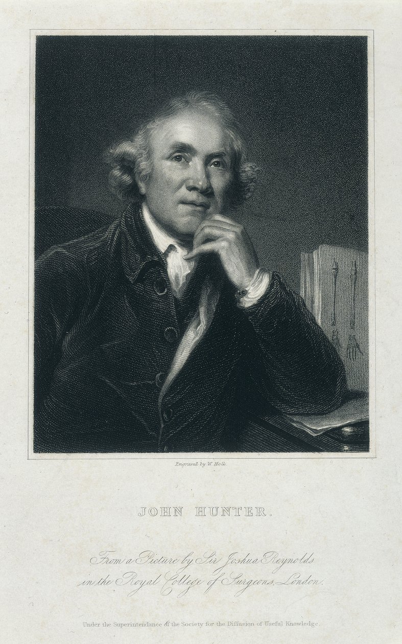 John Hunter, FRS, c1850-c1870 av William Holl