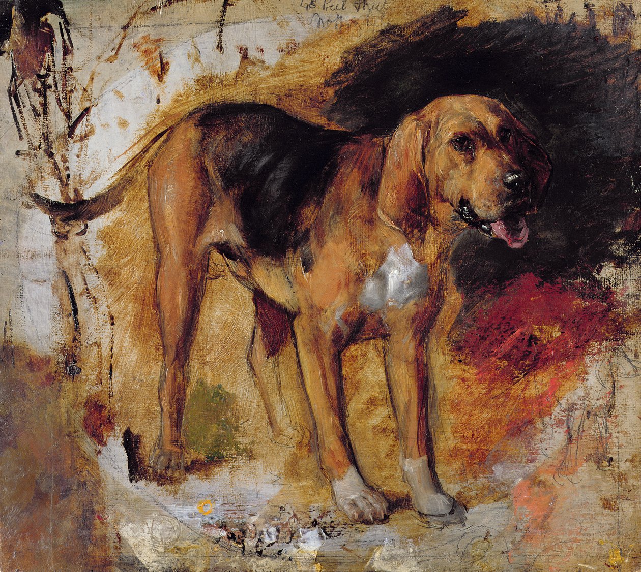 En studie av en blodhund av William Holman Hunt