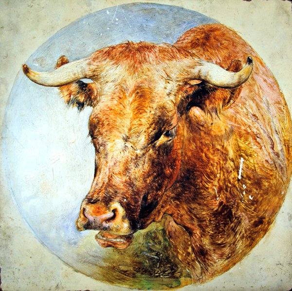 Chef för en Longhorn Cow av William Huggins