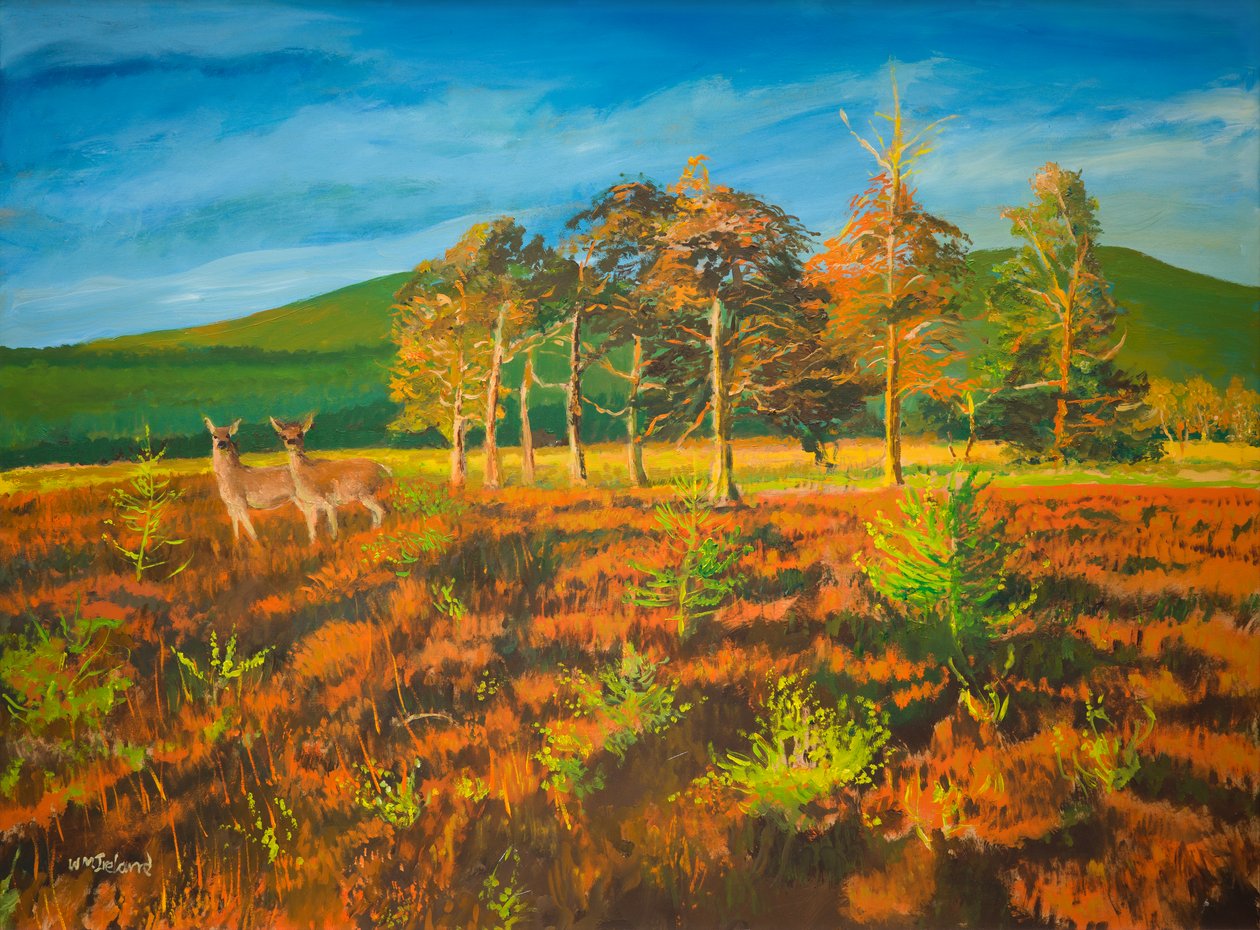 Nej. Aviemore, Skottland (olja ombord) av William Ireland