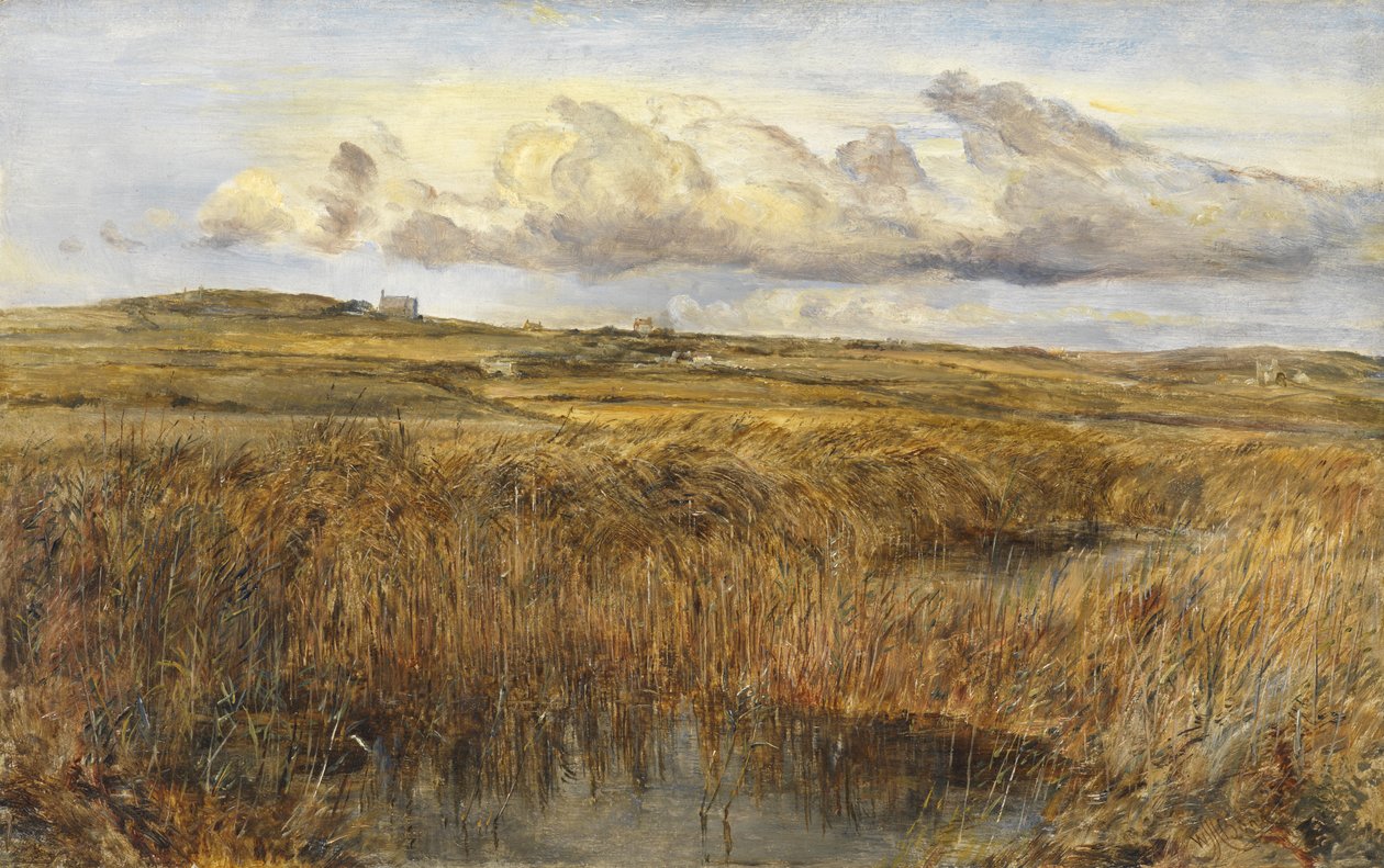 Rhoscolyn, Anglesey av William Joseph J.C. Bond