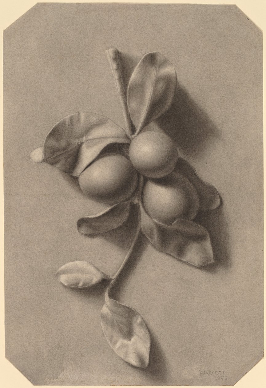 En plommonkvist av William Michael Harnett