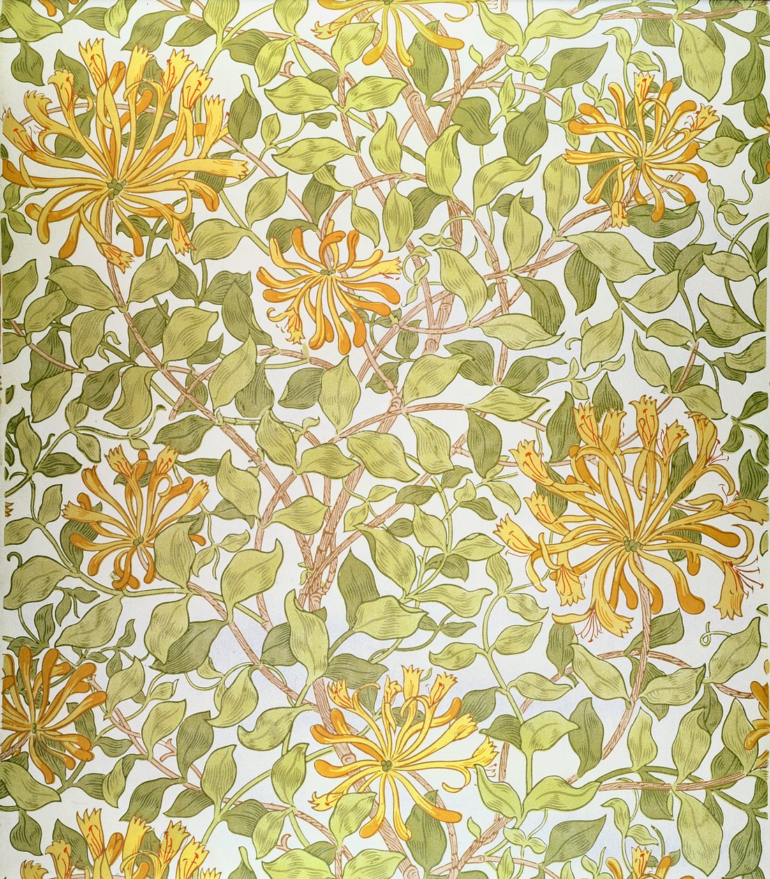 Design av "Honeysuckle", 1883 av William Morris