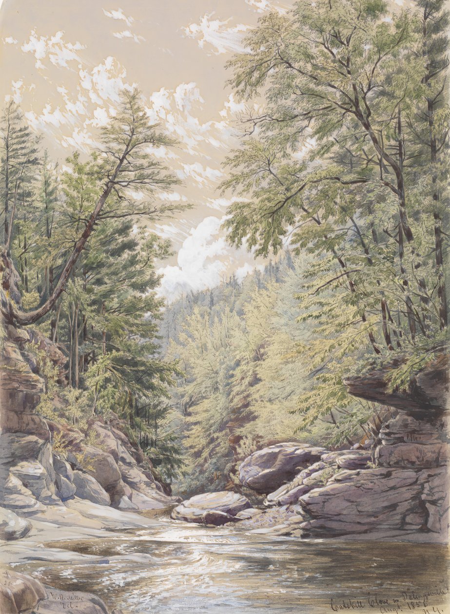 Catskill Clove i Palingsville, 1856. av William Rickarby Miller