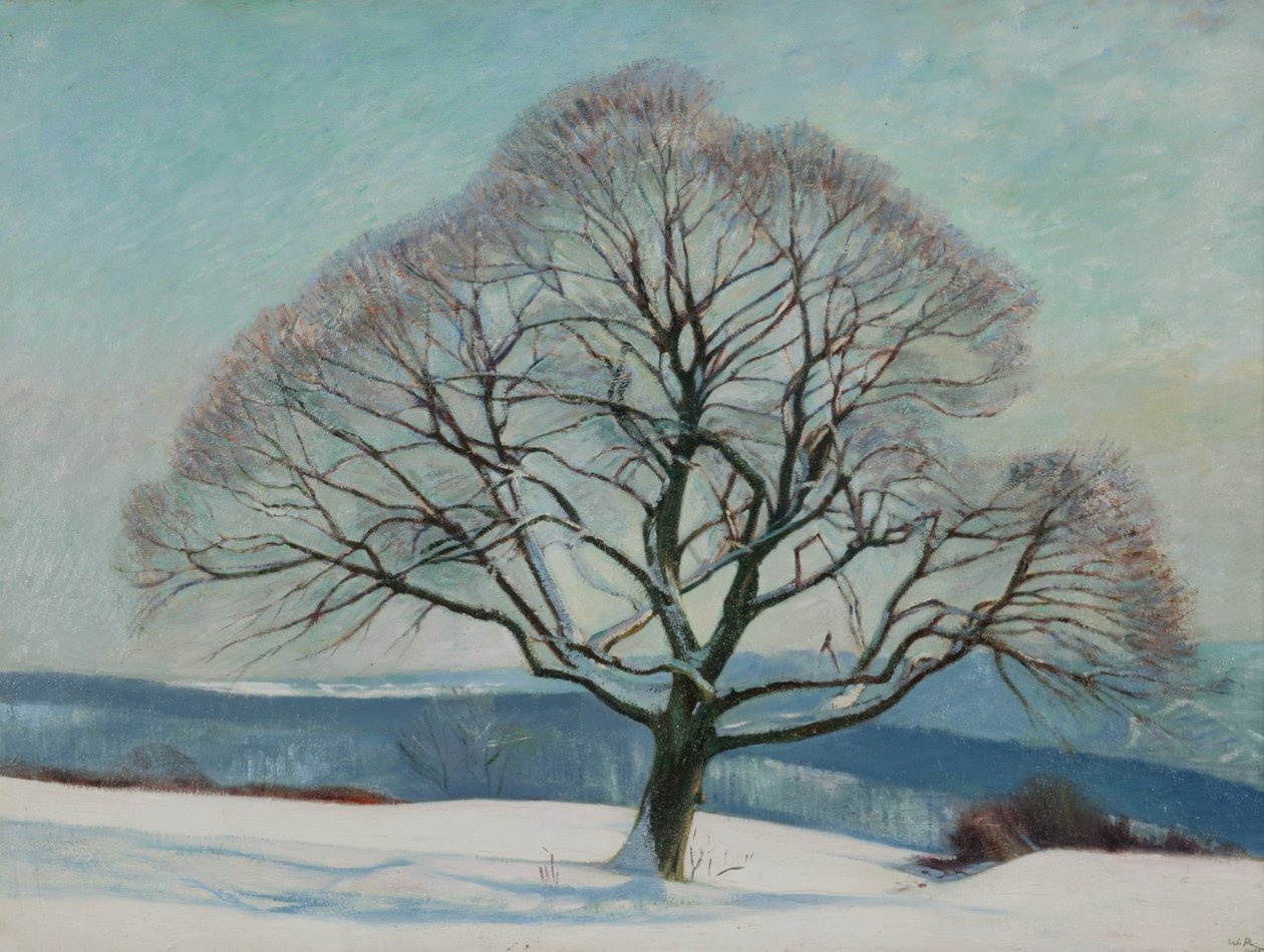 Träd på vintern av William Rothenstein