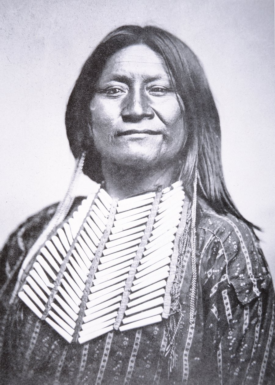 Comanche stamman av William Soule