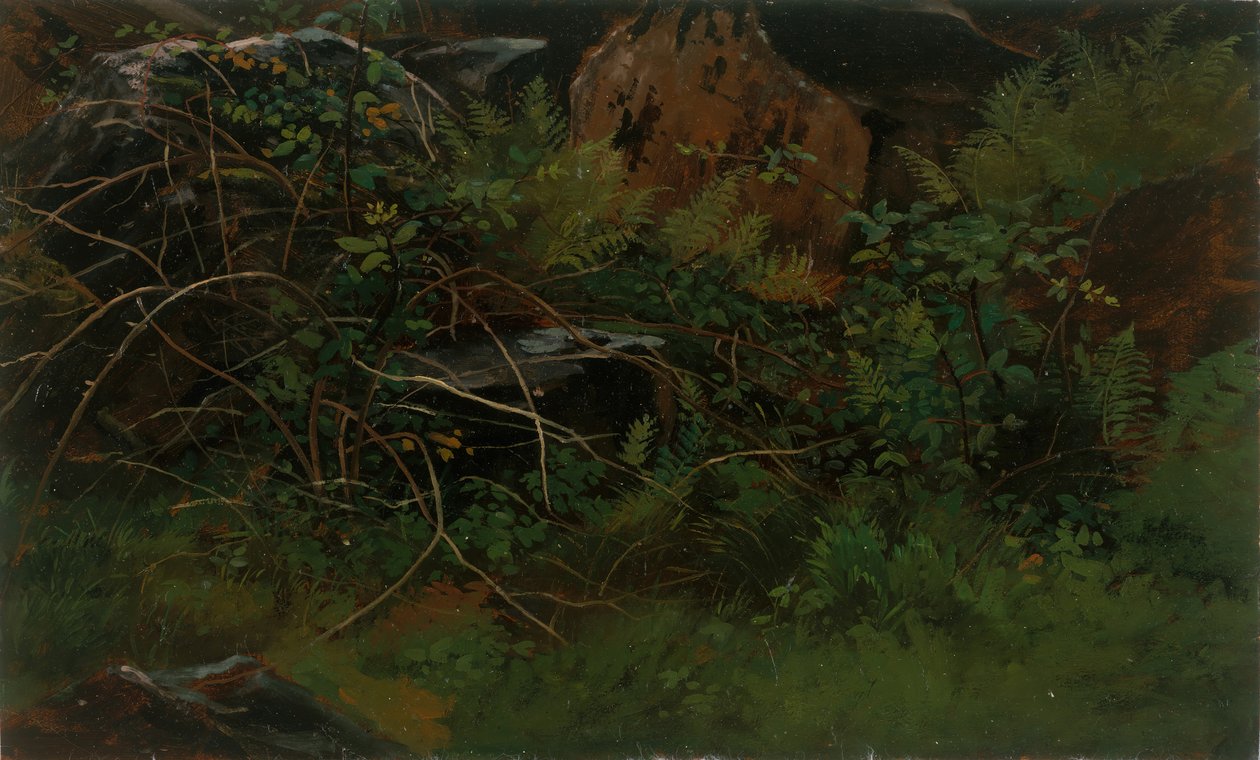 Studie från naturen. av William Stanley Haseltine