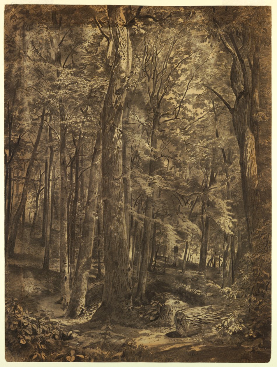 Studera för "June Woods" av William Trost Richards