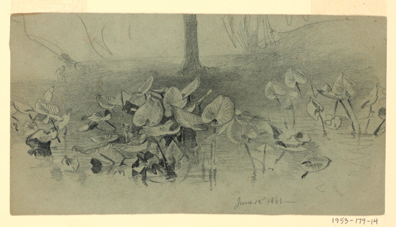Studie av lövverk av William Trost Richards