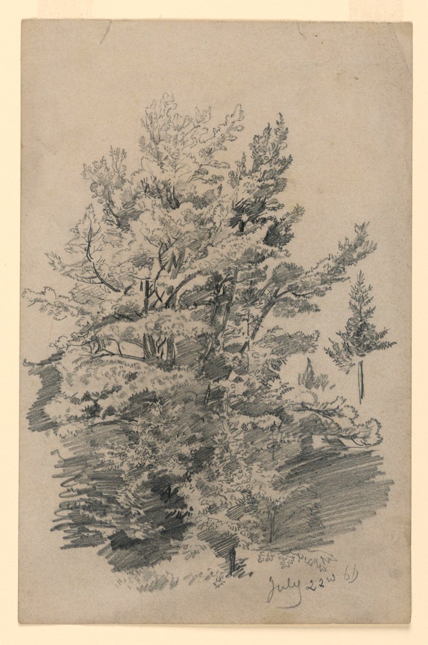 Studie av lövverk av William Trost Richards
