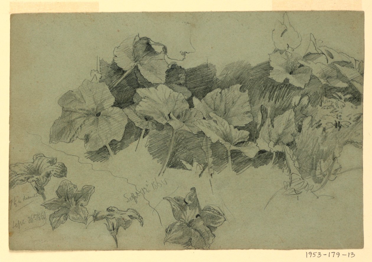 Studie av lövverk av William Trost Richards