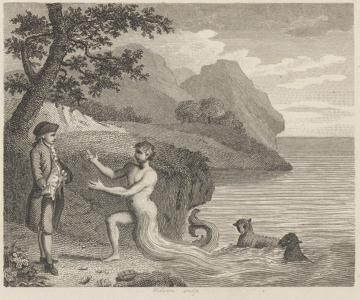 Hovman och Proteus av Wilson