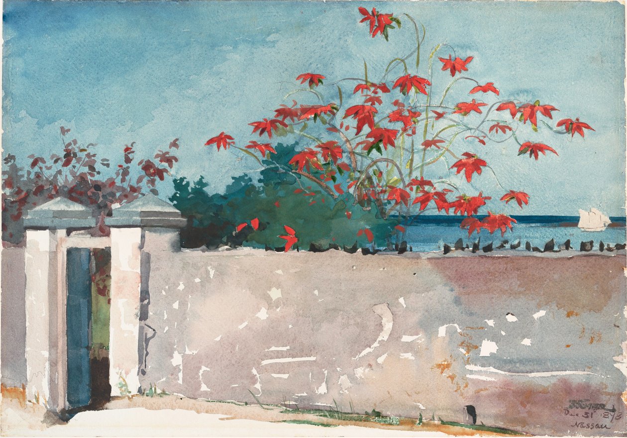 A Wall, Nassau av Winslow Homer