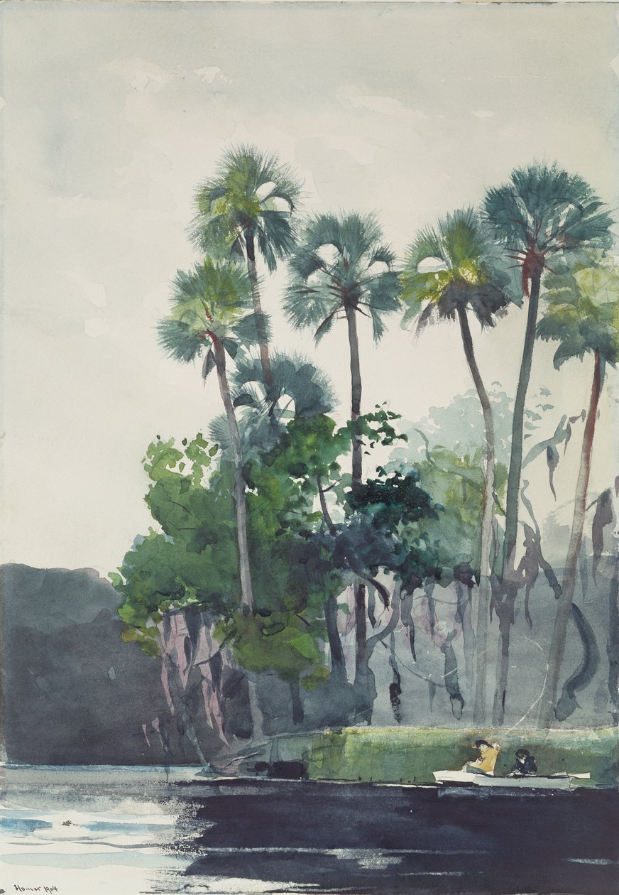Homosassafloden, 1904 av Winslow Homer