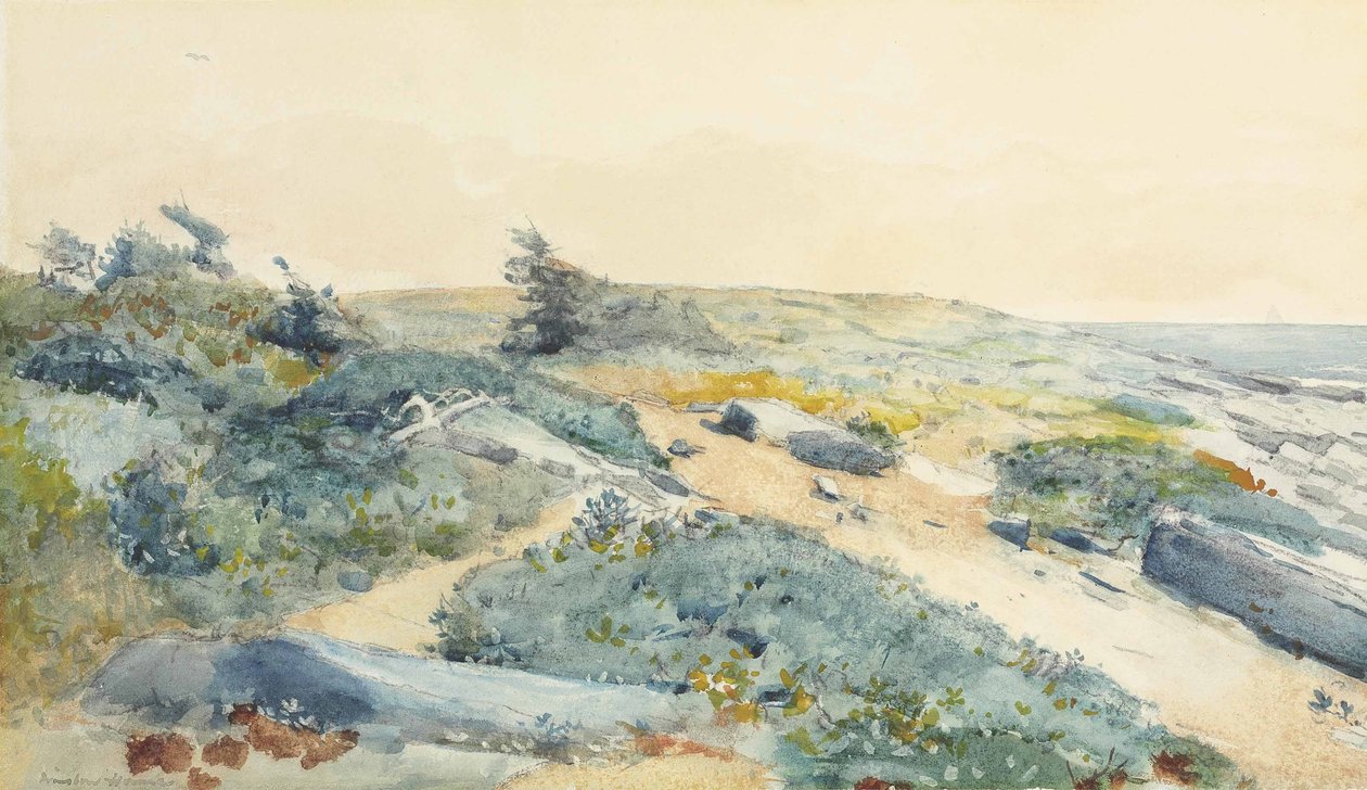 Prouts Neck  av Winslow Homer