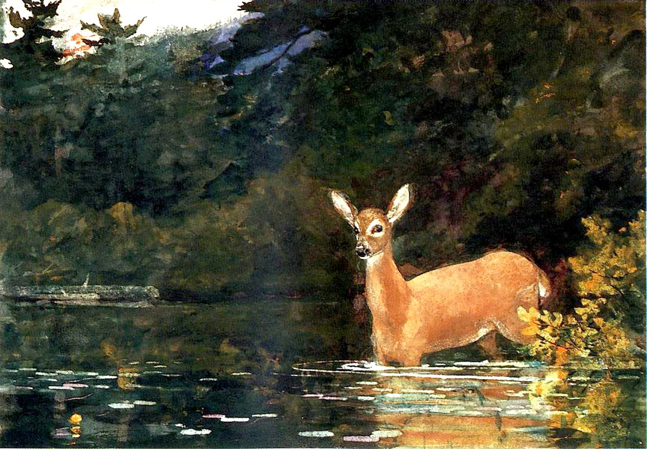 En Doe, 1889 av Winslow Homer