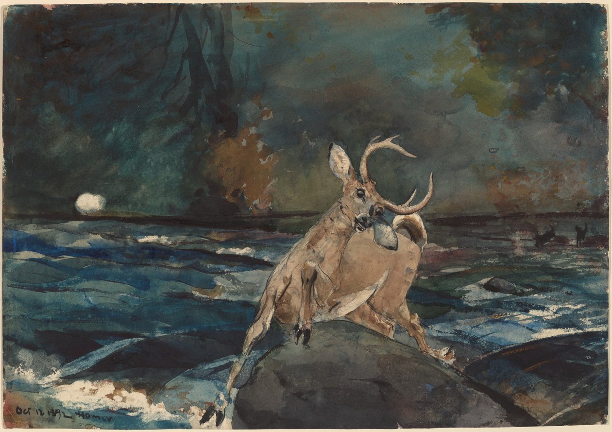 Ett bra skott, Adirondacks av Winslow Homer