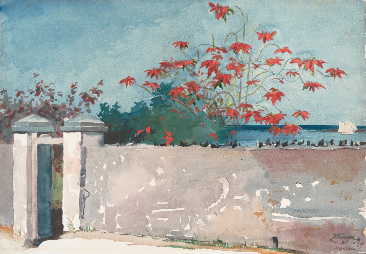 En mur, Nassau, 1898. av Winslow Homer
