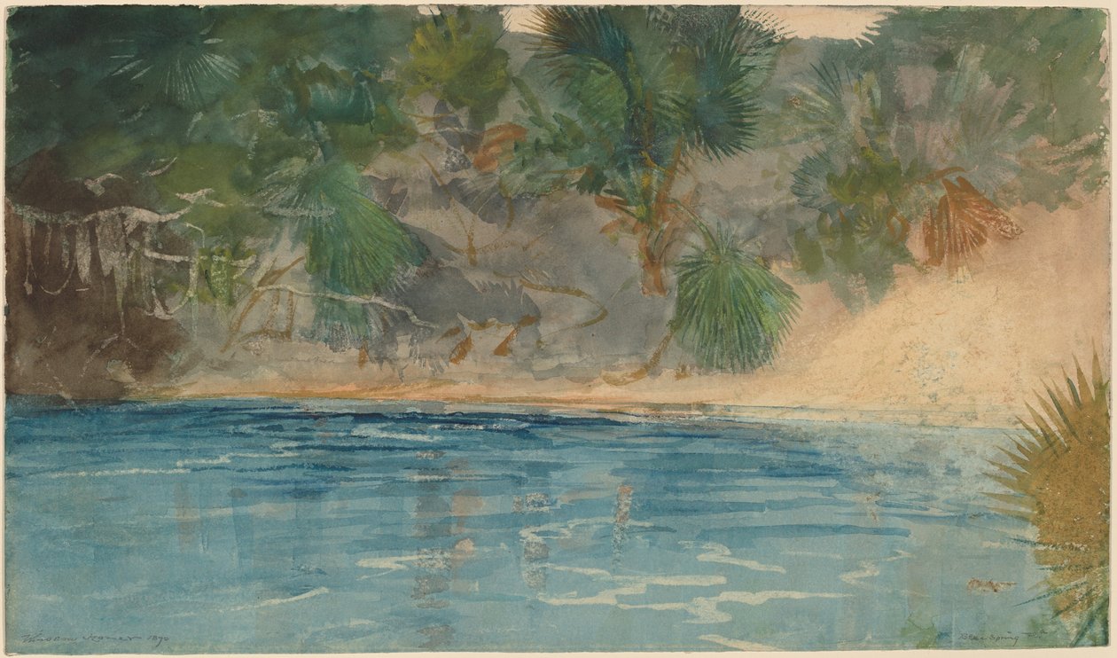 Blue Spring, Florida av Winslow Homer