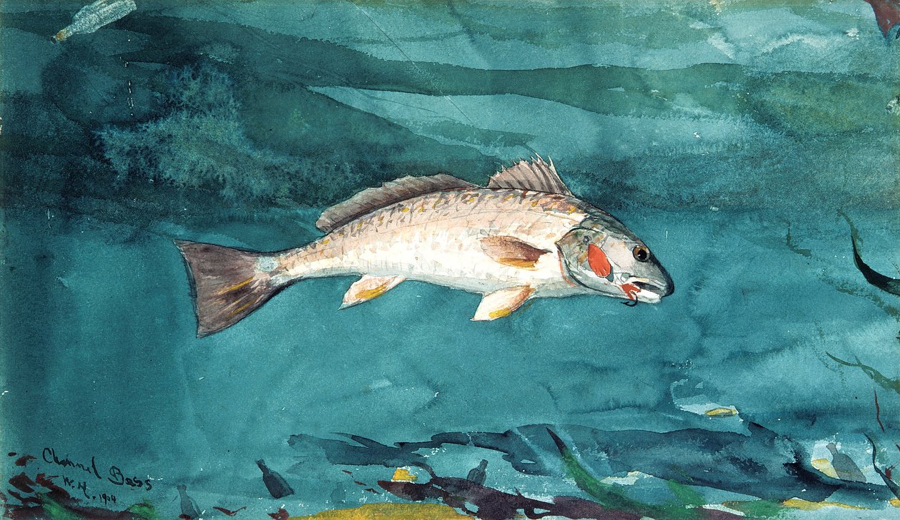 Kanalbas av Winslow Homer