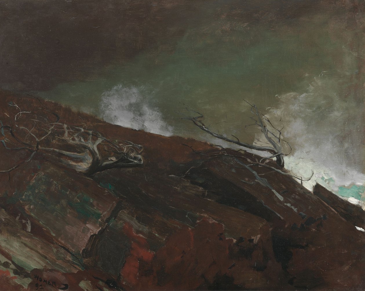 Maines kust av Winslow Homer