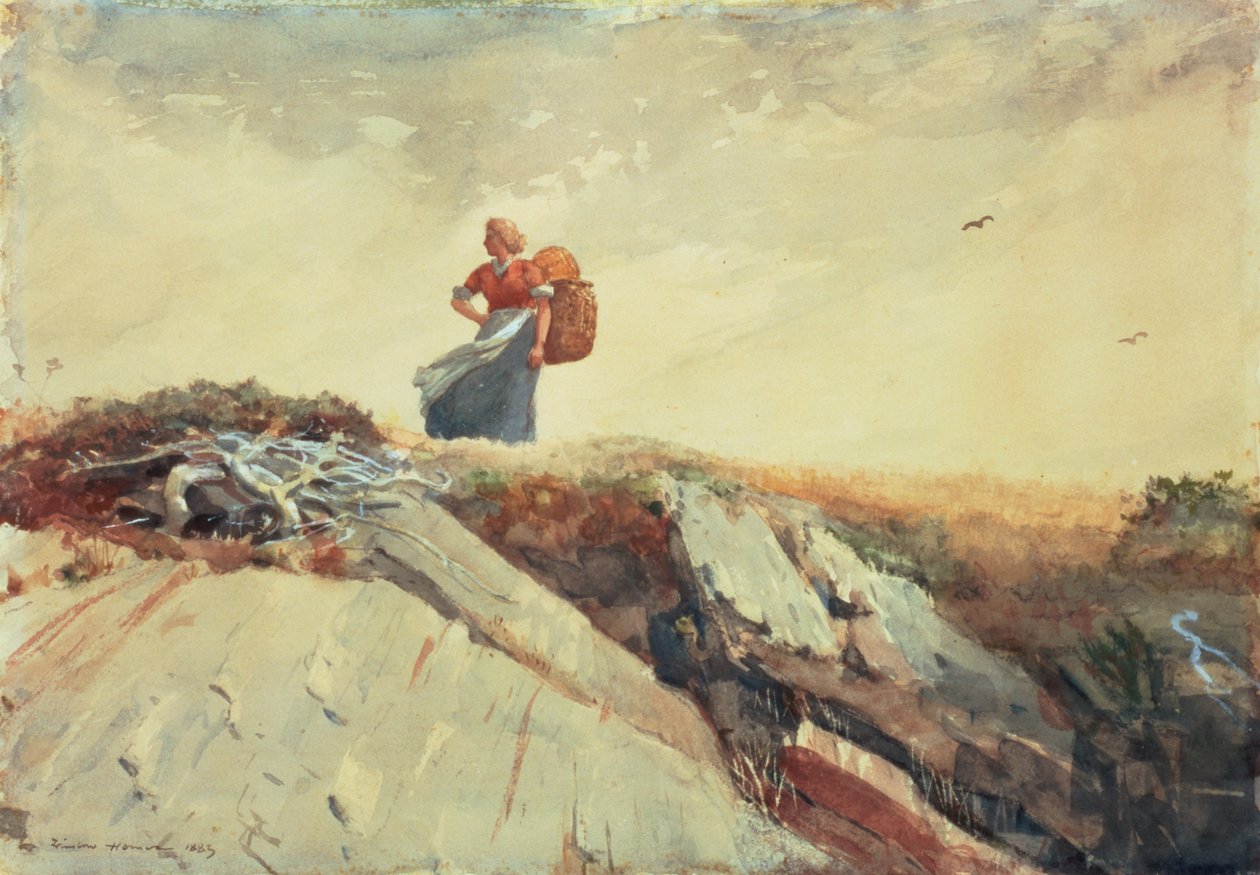 Nedför klippan, 1883 av Winslow Homer