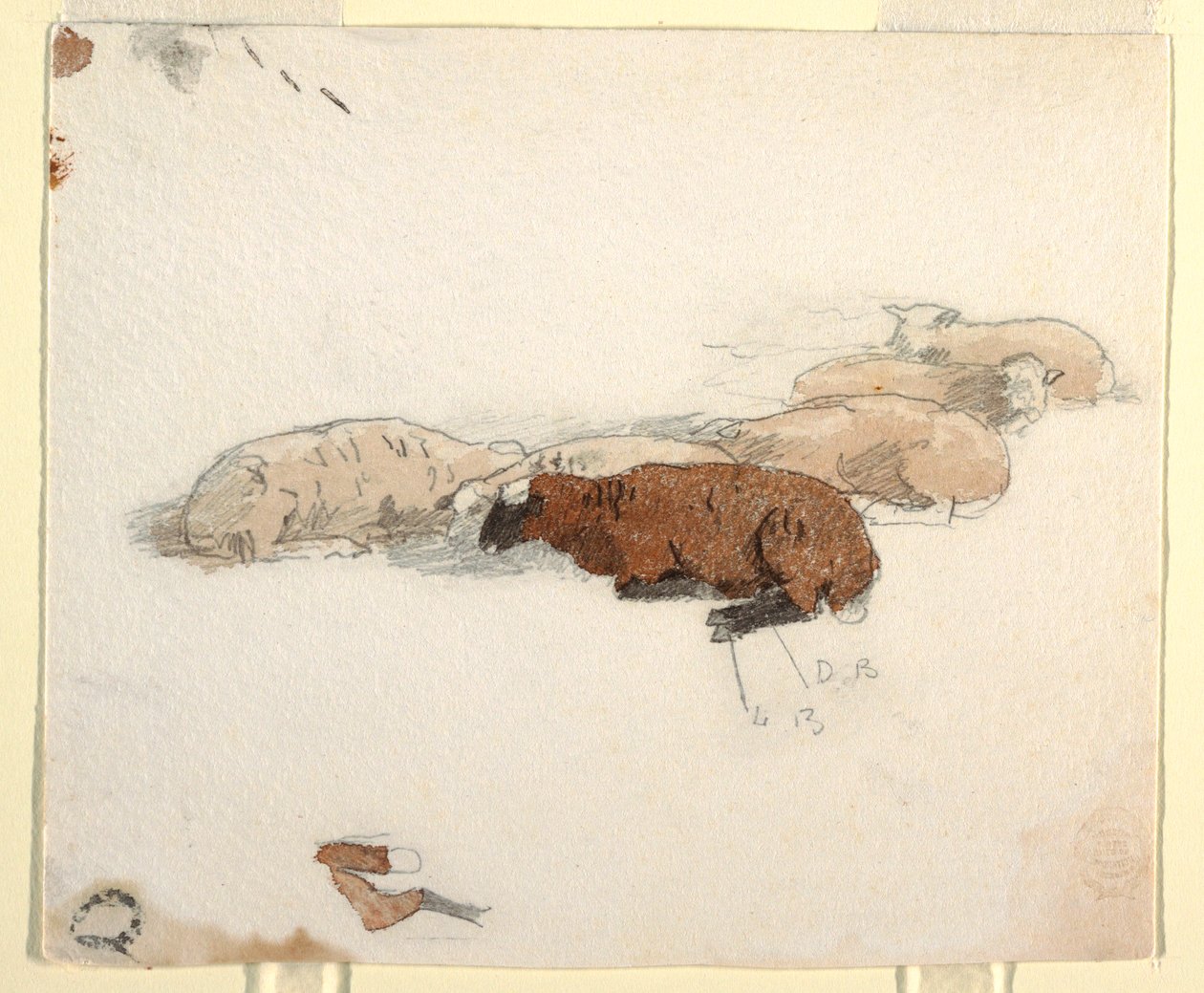 Teckning, får som vilar, 1878 av Winslow Homer