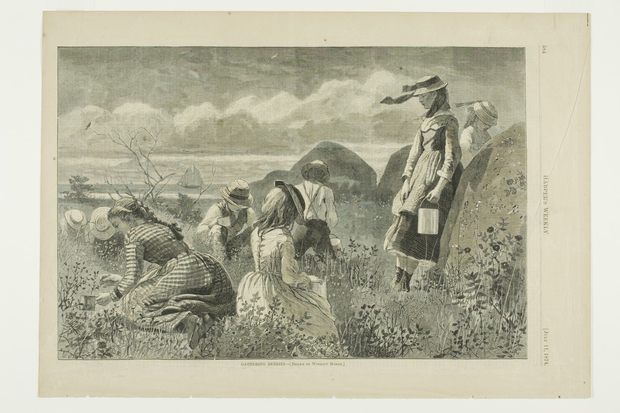 Samla bär av Winslow Homer