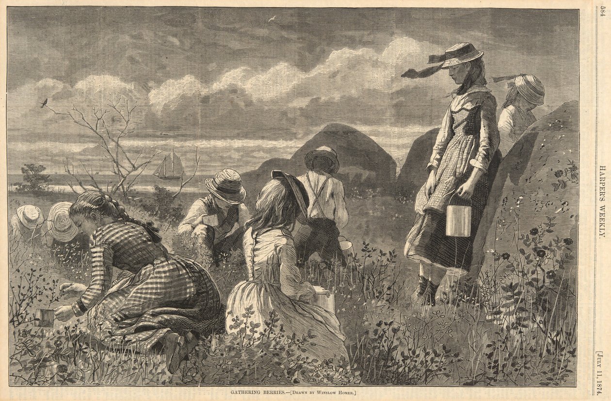 Gathering Berries, från Harper av Winslow Homer