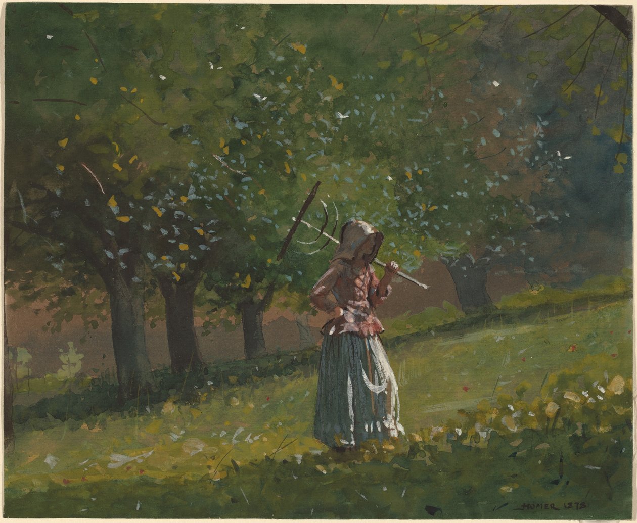 Flicka med hökratta av Winslow Homer