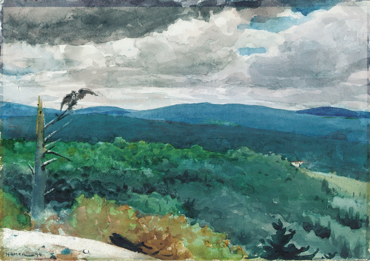 Kuperat landskap, 1894 av Winslow Homer