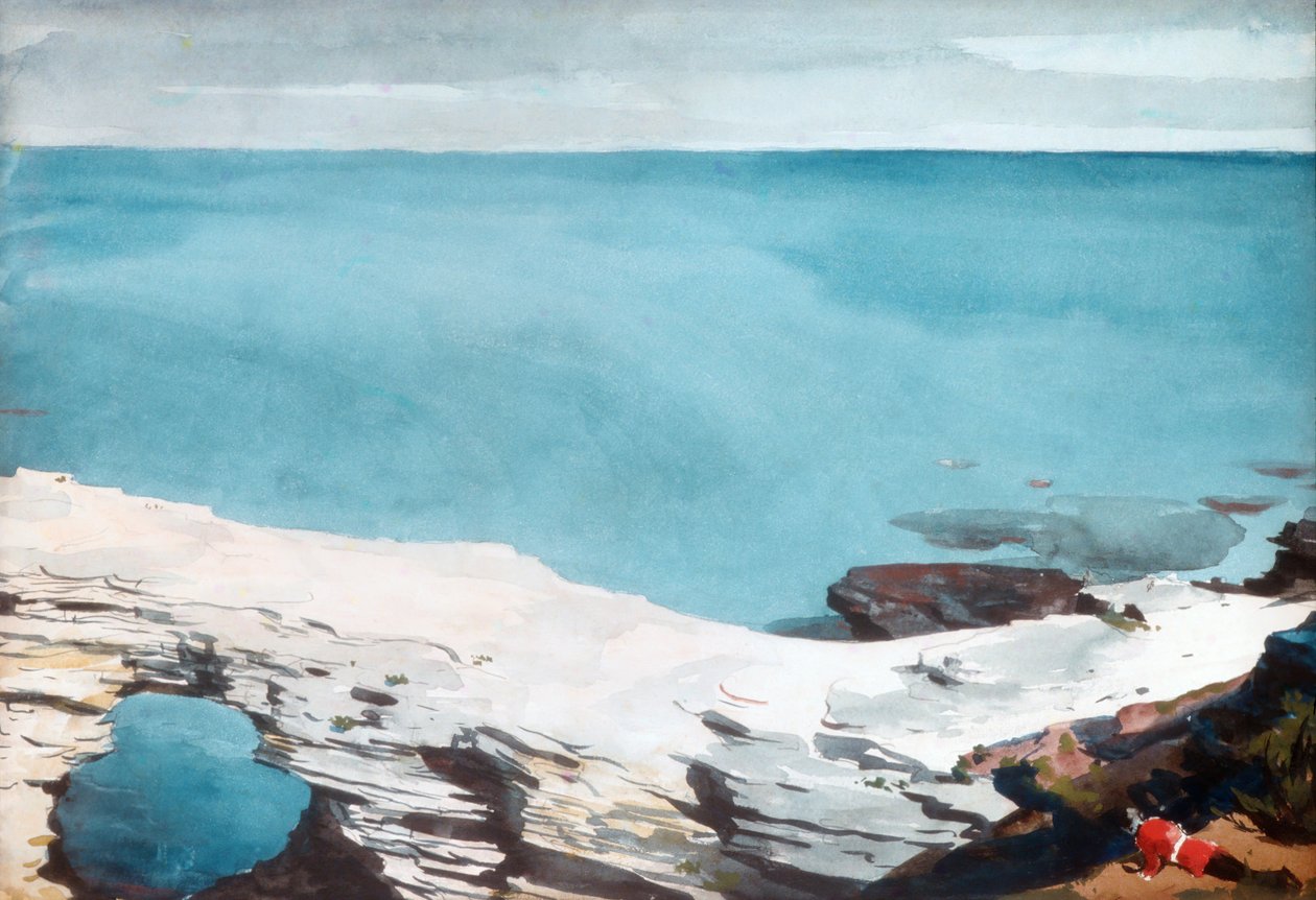Natural Bridge, Bermuda, ca. 1901. av Winslow Homer