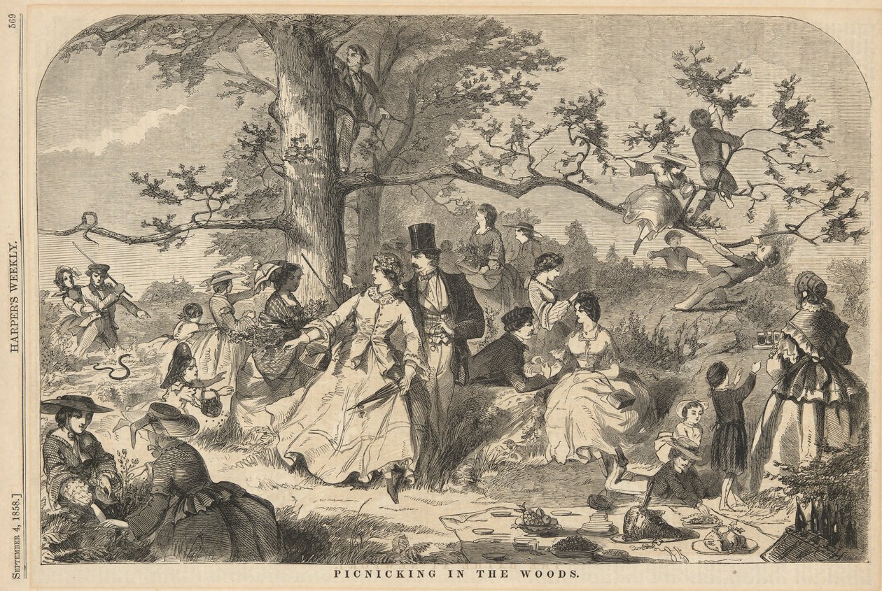 Picknick i skogen, från Harper av Winslow Homer