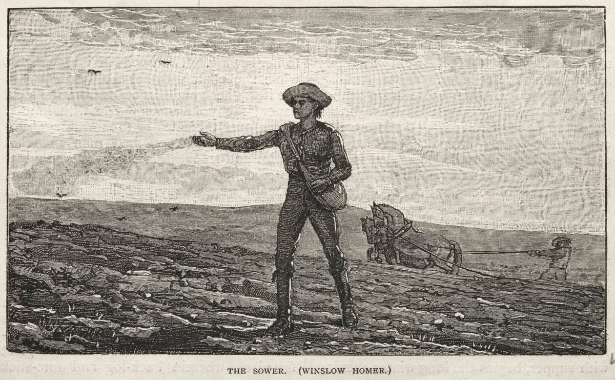 Såningsmannen av Winslow Homer