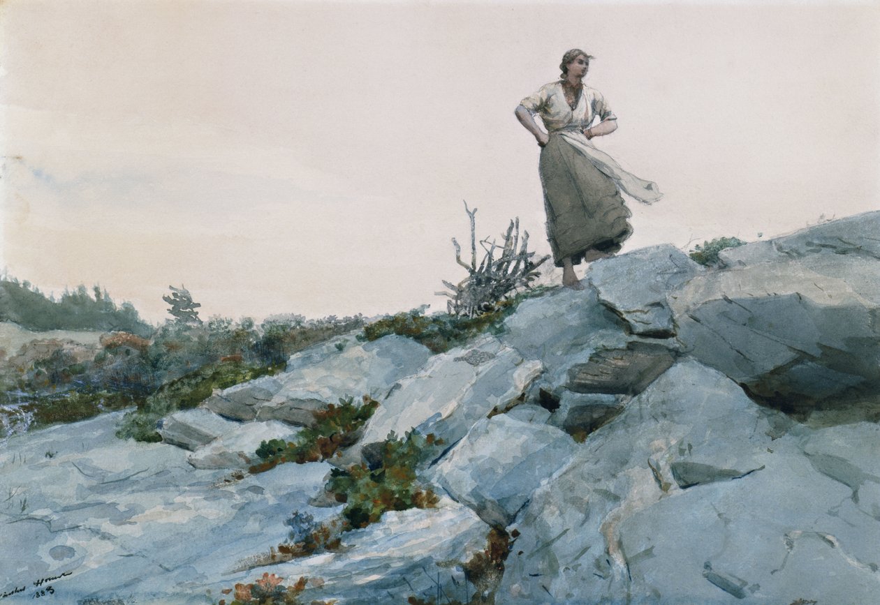 Kvistsamlaren, 1883 av Winslow Homer