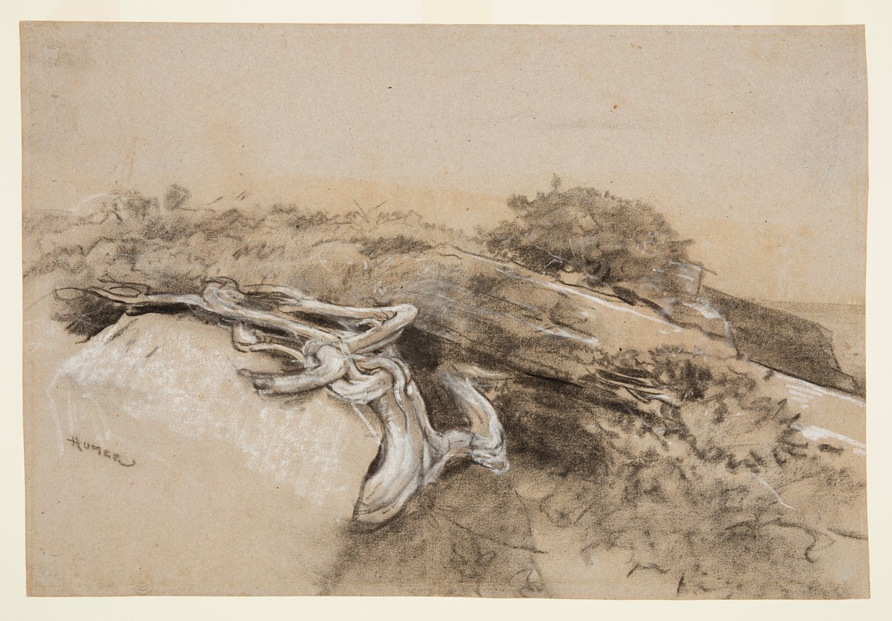 Trädrötter, Prouts hals av Winslow Homer
