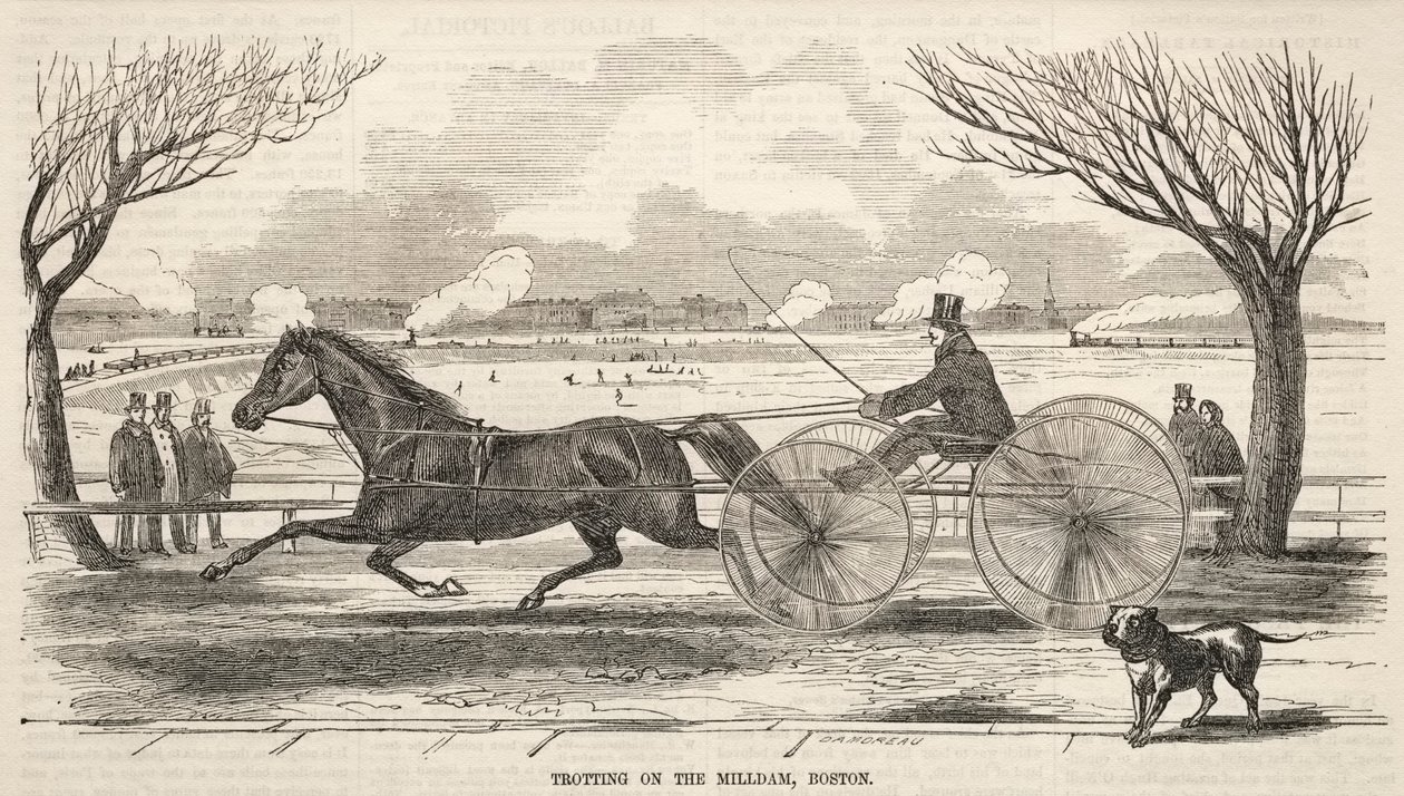 Trav på Mill Dam, Boston av Winslow Homer