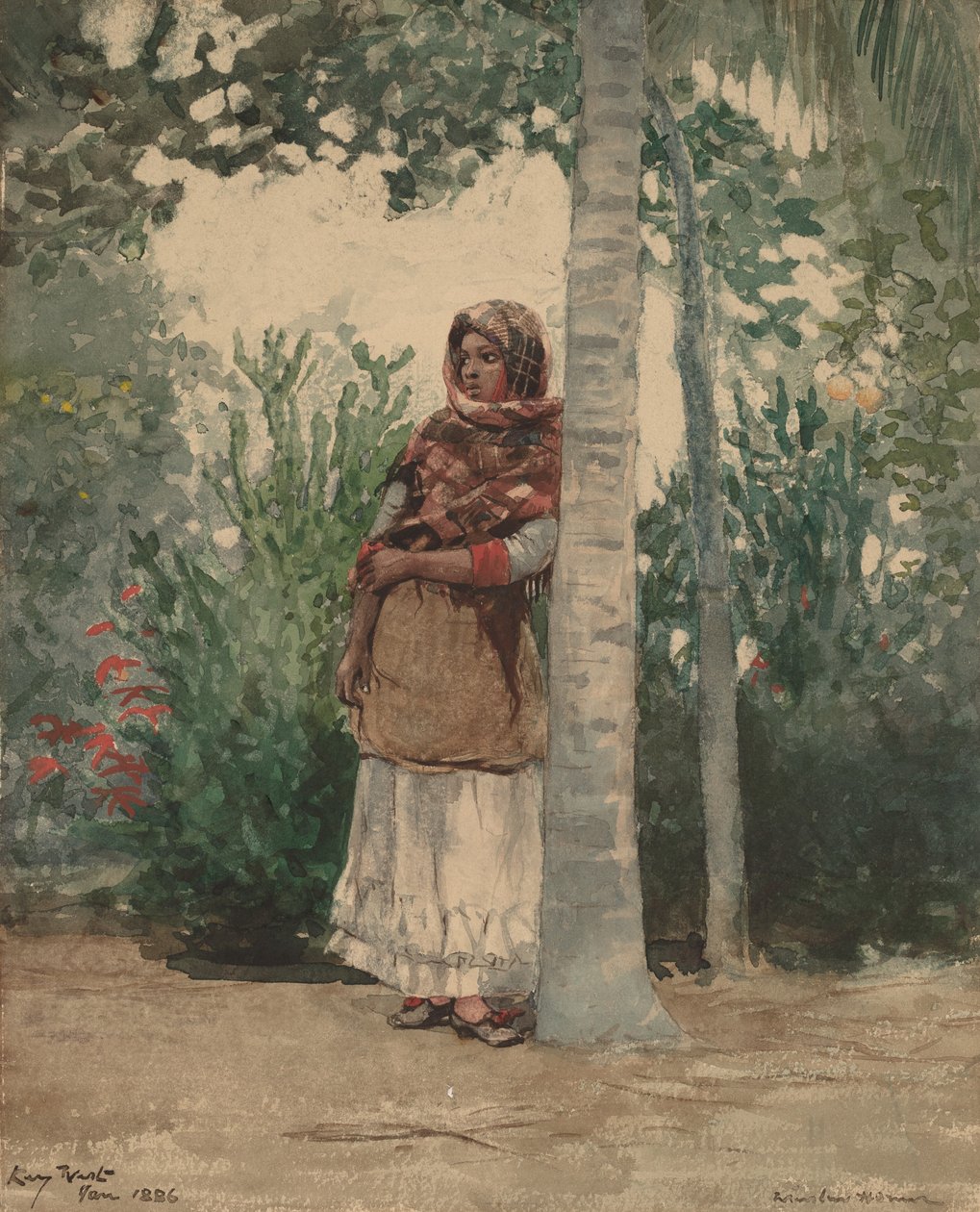 Under en palm, 1886. av Winslow Homer