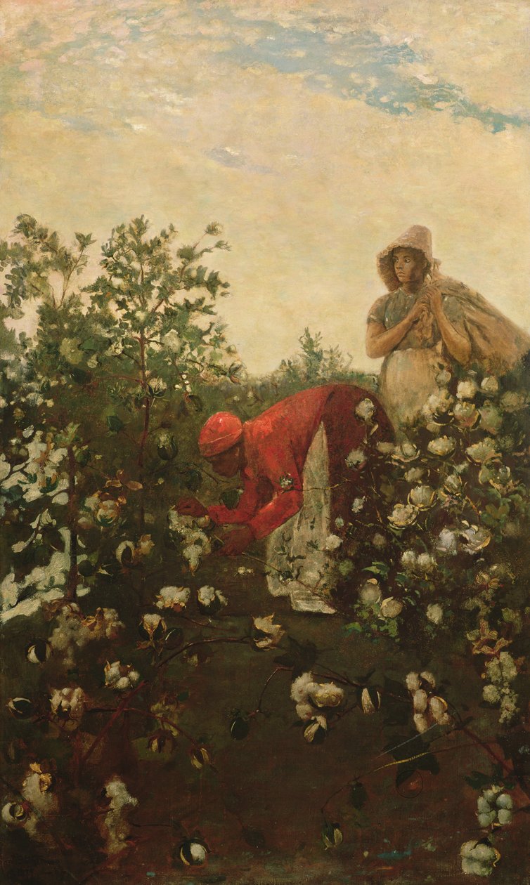 Upland Cotton, 1875 av Winslow Homer