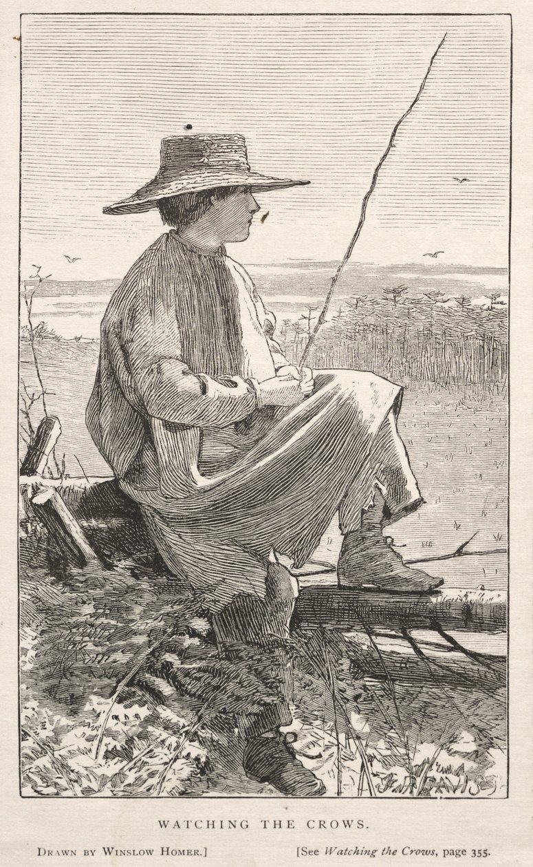 Att titta på kråkorna av Winslow Homer