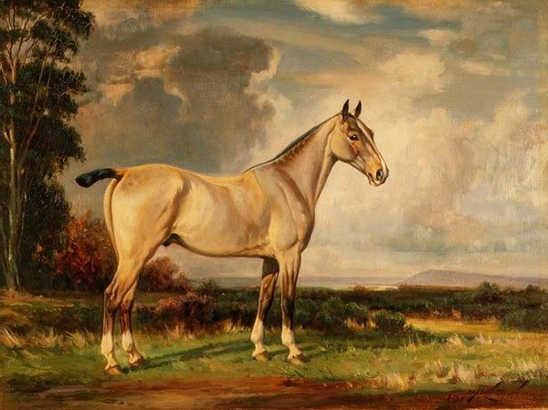 Porträtt av påfågel av Wright Barker